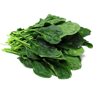 Spinach PNG-79140